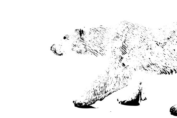 Cheerful polar bear standing on snowy ground. / You can see the animation movie of this image from my iStock video portfolio. Video number: 1448880904