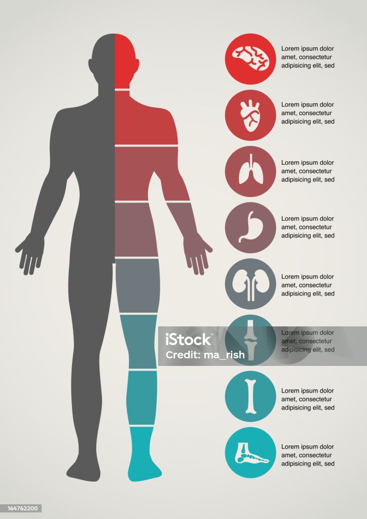 Medizin und Gesundheitswesen Hintergrund - Lizenzfrei Menschlicher Körper Vektorgrafik
