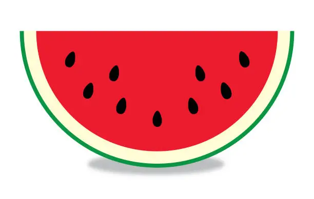Vector illustration of Large Slice Of Watermelon