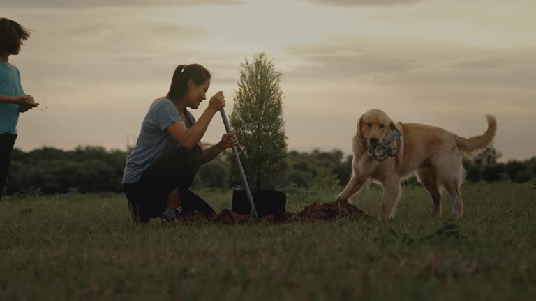 Mother and daughter planting tree.