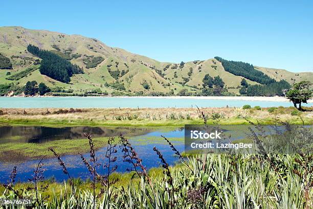 Seascape Kabel Bay Und Nelson Neuseeland Stockfoto und mehr Bilder von Blau - Blau, Blume, Blume aus gemäßigter Klimazone