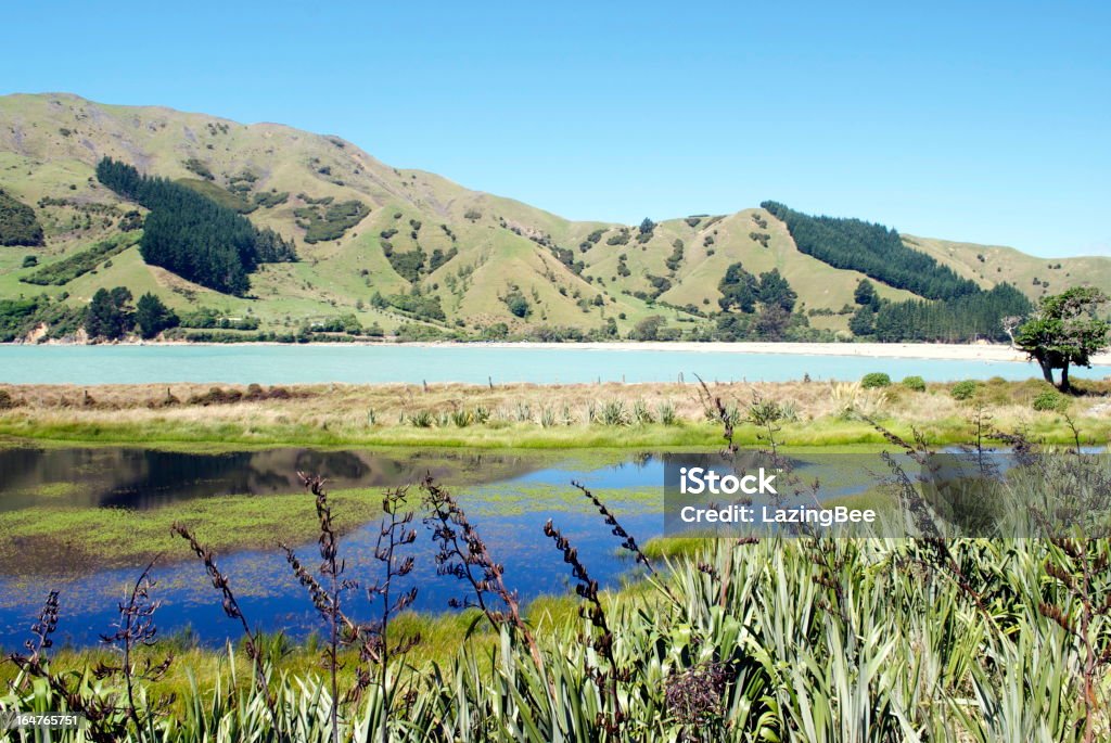 바다 경치를, 케이블 베이에서의, Nelson, New Zealand - 로열티 프리 0명 스톡 사진