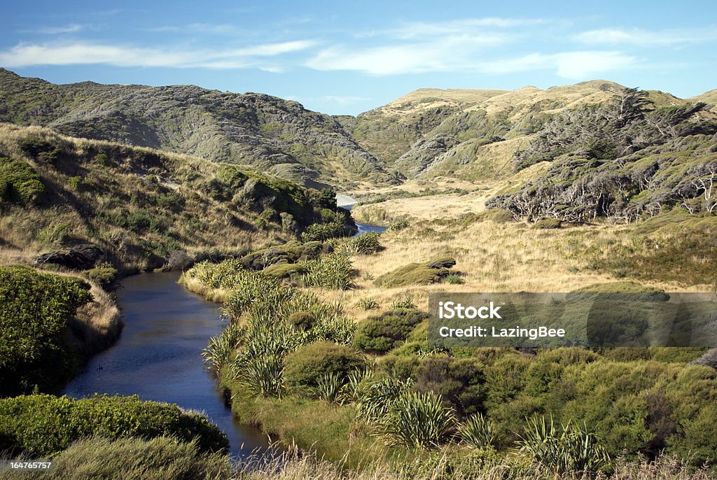 Riverscape, Parco Nazionale Kahurangi, Golden Bay, NZ - Foto stock royalty-free di Parco Nazionale Kahurangi