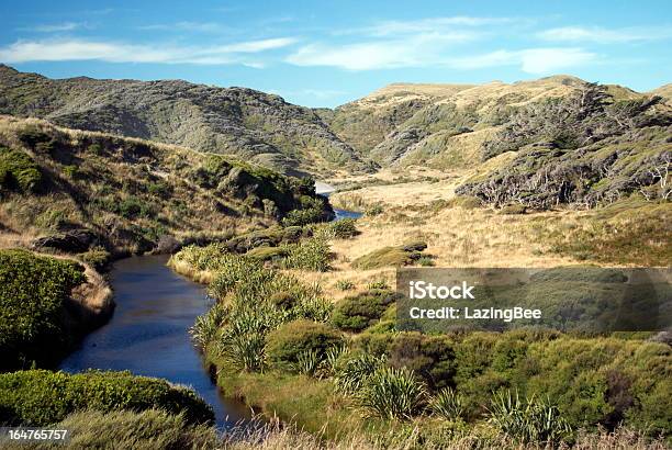 Riverscape Parco Nazionale Kahurangi Golden Bay Nz - Fotografie stock e altre immagini di Parco Nazionale Kahurangi