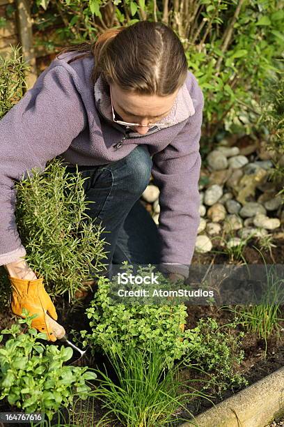 Foto de Arrancando Ervas Daninhas Jardim De Ervas e mais fotos de stock de Adulto - Adulto, Adulto de idade mediana, Alecrim