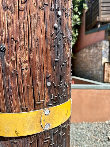 Metal staples on wooden lamp post