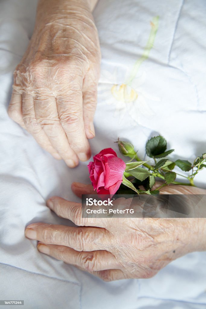 Händen der ältere Dame mit Rosen-Fotos series - Lizenzfrei 80-89 Jahre Stock-Foto