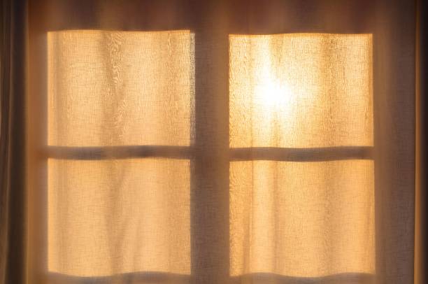 istock Bright and airy space illuminated by golden sunlight streaming through a sheer window curtain 1647736901