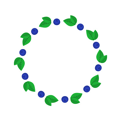 Blueberries round flat frame on white background
