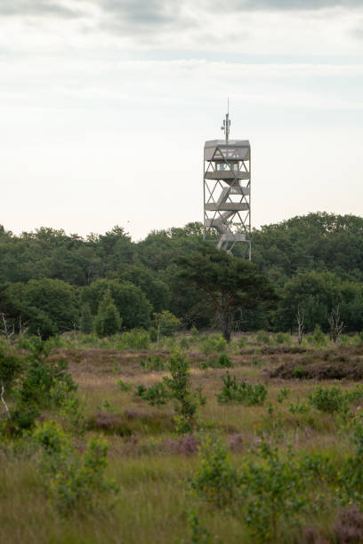 istock watchtower in the calmthout heath 1647767369