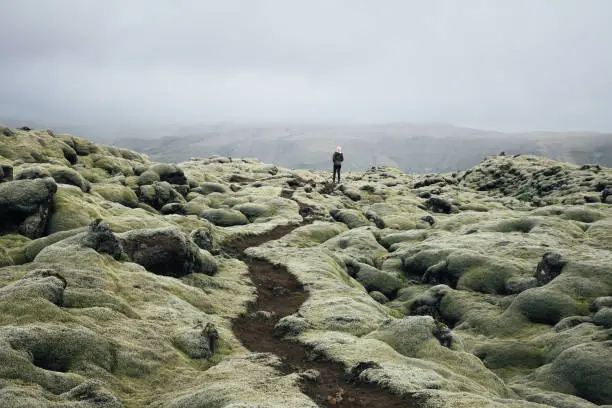 Photo of Path Through The Lava Field