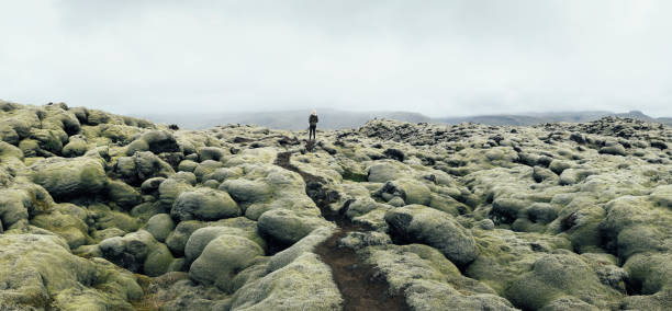 Woman Walking In Moss Fields In Iceland