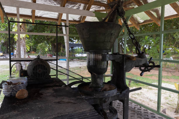istock Mechanized system for production cold pressed coconut oil 1647790020