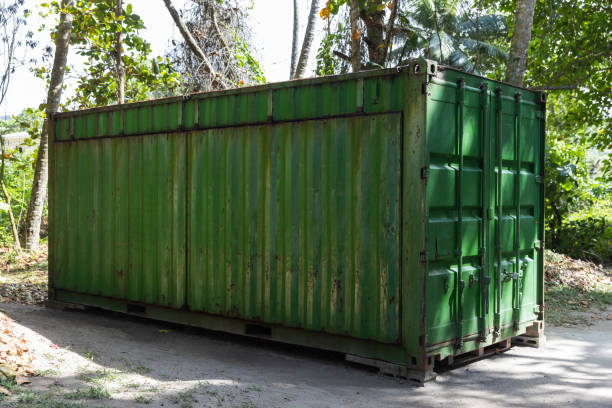 istock Green cargo container stands in shadow of trees 1647790467