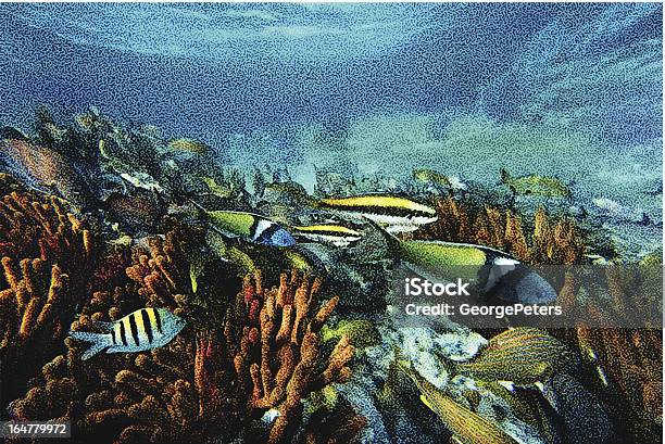 Recife De Coral E Peixe Tropical - Arte vetorial de stock e mais imagens de Riviera Maia - Riviera Maia, Recife - Fenómeno Natural, América Latina