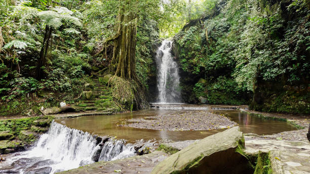 istock Waterfall at the Palutungan Campground 1647814625