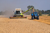 Harvesting grain by a combine harvester, near Gdańsk, Poland