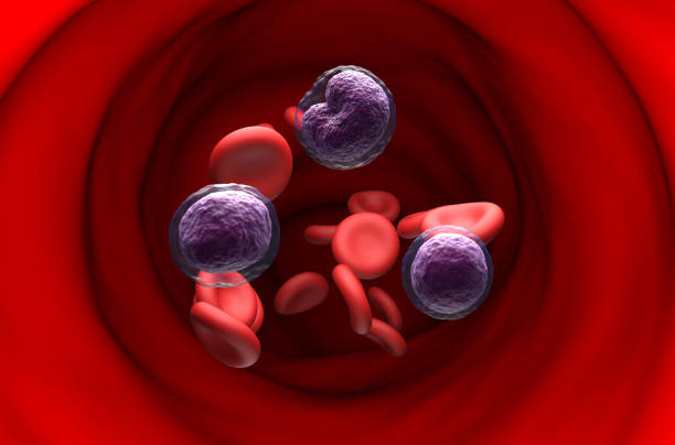 non-hodgkin lymphoma nhl cells in the blood flow - section view 3d illustration - non hodgkin lymphoma imagens e fotografias de stock