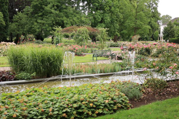 istock Impressions from the spa gardens in Bad Eilsen 1647888336