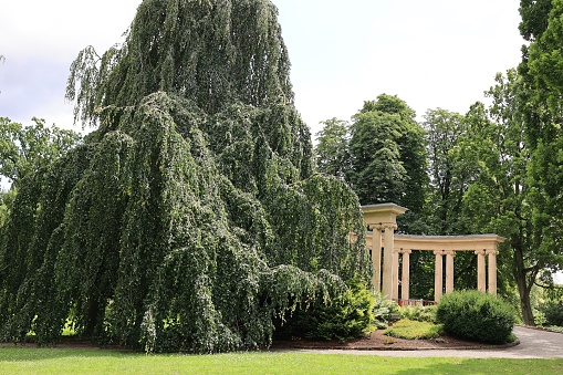 Juli 20, 2023, Bad Eilsen: View of the spa gardens in Bad Eilsen in midsummer