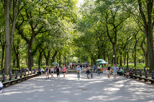 People stroll down the main avenue in Central Park in New York City, USA on a bright sunny day.