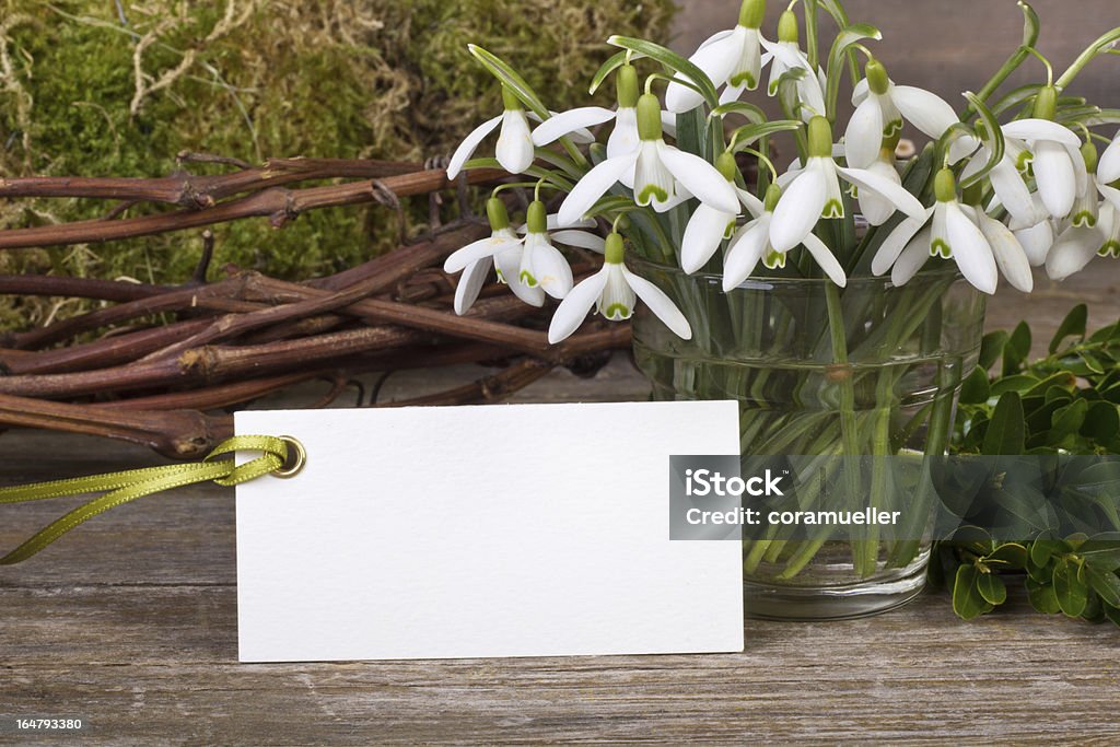 snowdrops - Foto de stock de Blanco - Color libre de derechos