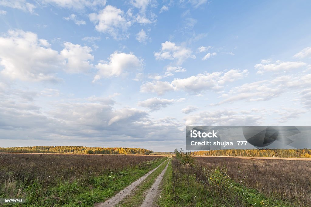 Nature paysage avec Sale road au meadow dans le horizon de fuite - Photo de Automne libre de droits