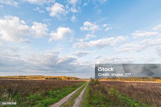 Photo libre de droit de Nature Paysage Avec Sale Road Au Meadow Dans Le Horizon De Fuite banque d'images et plus d'images libres de droit de Automne