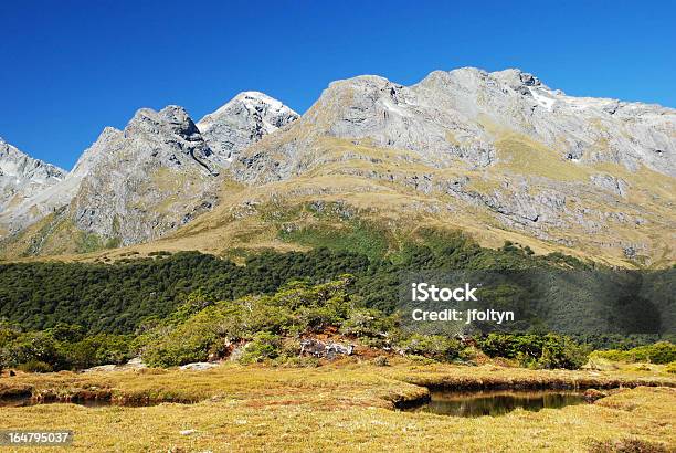 Routeburn Pista Paisaje Nueva Zelanda Foto de stock y más banco de imágenes de Aire libre - Aire libre, Belleza de la naturaleza, Cadena de montañas