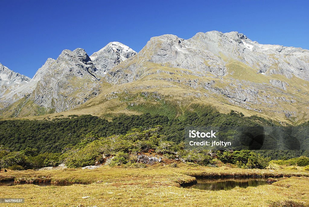 Pista de Routeburn paisagem, Nova Zelândia - Foto de stock de Beleza natural - Natureza royalty-free