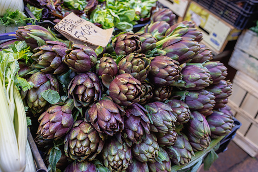 Close up of a old man cutting with a knife some raw fresh artichokes