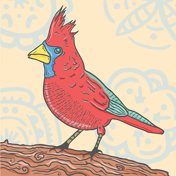 Red bird vector art illustration