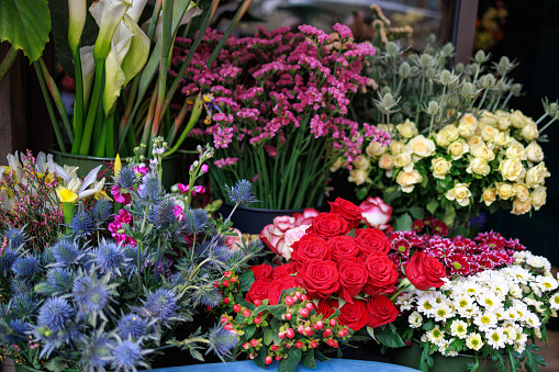 Various species of beautiful flowers in pots on the traditional street market in Bologna, Italy