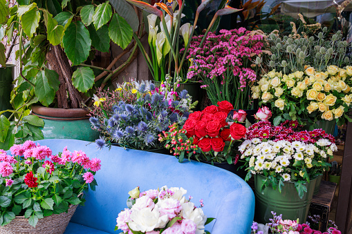 Beautiful flowers of many colors in pots on the traditional street market in Bologna, Italy