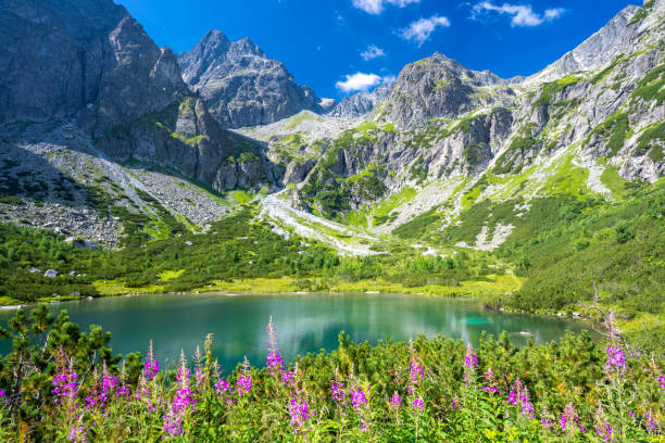 mountain lake Zelene Pleso in Tatra mountains in Slovakia amazing view on emerald lake and high Tatra mountains in Slovakia tatra tourists stock pictures, royalty-free photos & images