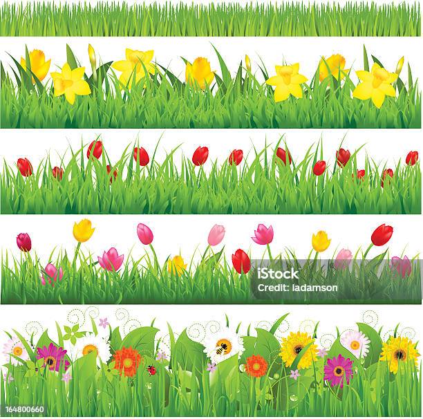 Flower Borders Set Stock Illustration - Download Image Now - Flower, Grass, Springtime