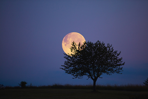 Full Moon, stars, planets and landscape scenery silhouettes.