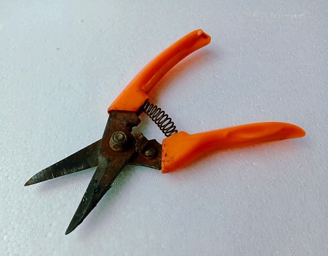 Scissors cut through a coaxial cable on white - cutting the cable tv concept