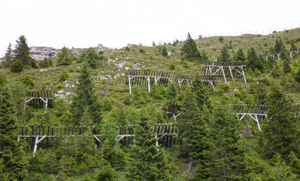 Avalanche barriers old style in the north of Italy
