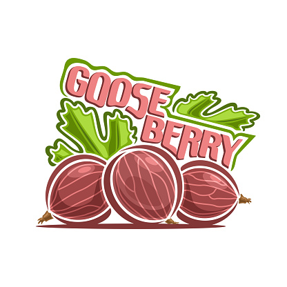 Vector logo for Red Gooseberry, decorative poster with contour illustration of still life gooseberries with green leaves and unique brush lettering for pale red text gooseberry on white background