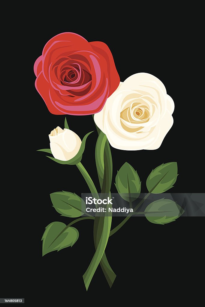赤いバラと白のアピールします。ベクトルイラスト。 - ねじれたのロイヤリティフリーベクトルアート