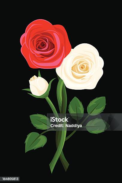赤いバラと白のアピールしますベクトルイラスト - ねじれたのベクターアート素材や画像を多数ご用意 - ねじれた, イラストレーション, カットアウト