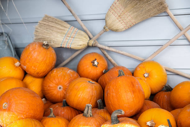 Pile of many ripe orange bright pumpkins against rustic straw hay broomstick at pumpkin farm yard. Halloween thanksgiving celebration symbol plant. Country rustic squash autumn background. pila de muchas calabazas brillantes de color naranja maduro contra la escoba de heno de paja rústica en el patio de la granja de calabazas. planta símbolo de celebración de acción de gracias de halloween. país rústico de calabaza otoñal fondo
