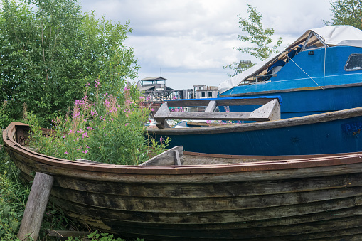 grass and flowers sprouted in an old wooden boat lying on the shore