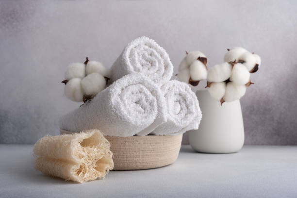 istock Stack of rolled white towels with cotton flowers 1648085733