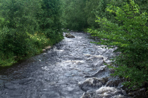 istock fast mountain river between wooded banks 1648086026