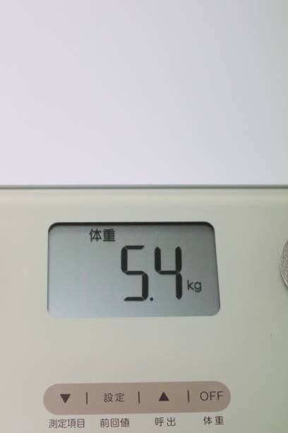 istock Weight measurement result is 5 kg 1648098815