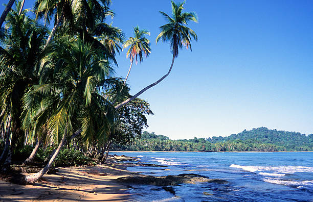 коста-рика, провинция лимон, playa chiquita. - limon province стоковые фото и изображения