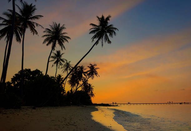 istock Banner Summer with colorful theme as palm trees background as texture frame background 1648103106