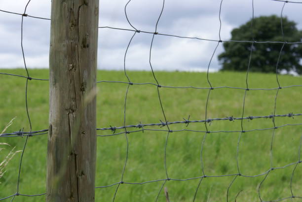 istock Timber wire fencing at Golborne Park, Warrington, UK 1648108002